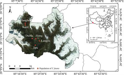 Intraspecific and sex-dependent variation of leaf traits along altitude gradient in the endangered dioecious tree Taxus fuana Nan Li & R.R. Mill